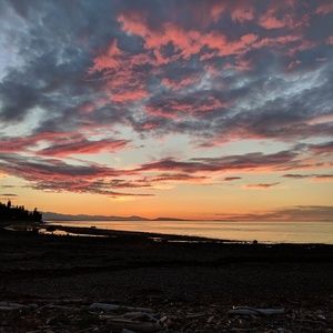 A large variety of new, trendy, and vintage!